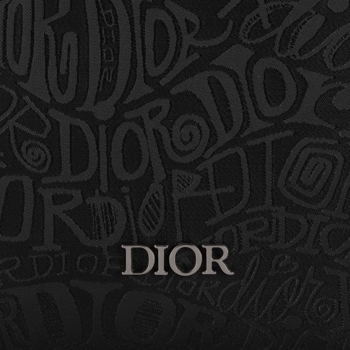 Рюкзак мужской Rider Christian Dior Артикул BMS-66513. Вид 3