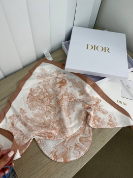 Шёлковый козырёк Christian Dior Артикул BMS-98188. Вид 1