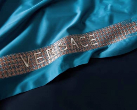 Комплект постельного белья Versace Артикул BMS-99872. Вид 2