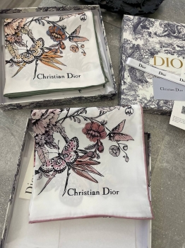 Платок  Christian Dior Артикул BMS-128854. Вид 1